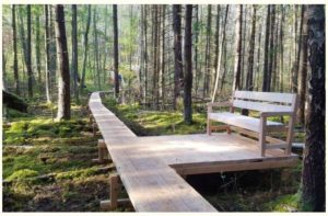 Träspång och en träbänk ute i skogen. Foto.